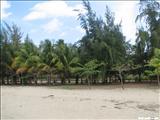 Balneario Punta Salinas - TOA BAJA